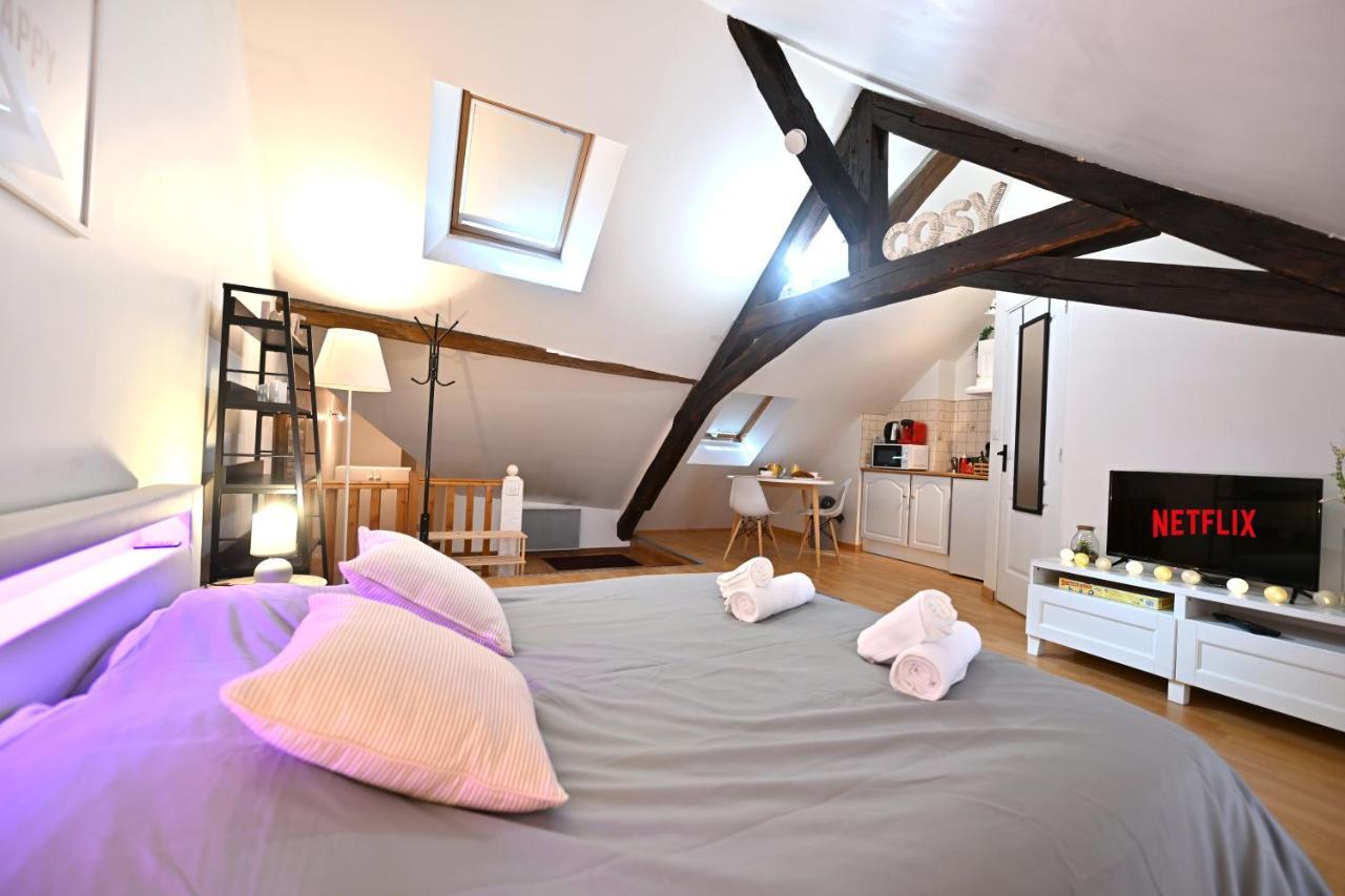Apartament Le Cosy Du Tambour D'Argent Sens Zewnętrze zdjęcie